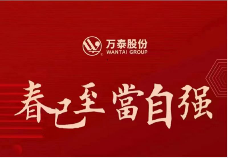 Warmly congratulate Wantai Group on being awarded the top 50 enterprises of Anhui Province 